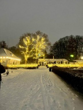 Experience a white Christmas in beautiful Oslo